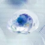 Education Management: Digital Learning Solutions